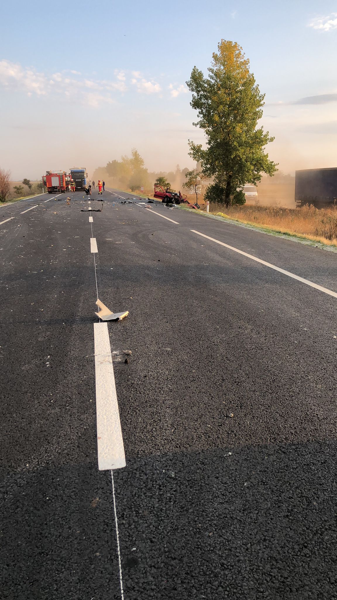 accident Ialomița camioane autoturism